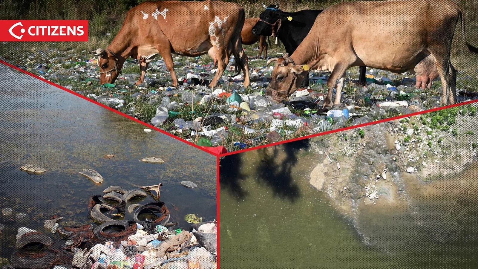 drini-i-bardhe-vendgrumbullim-i-levizshem-mbeturinash